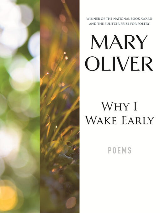 Cover image for Why I Wake Early